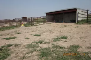 29429 Co Rd 9, Elizabeth, CO 80107 - Photo 9