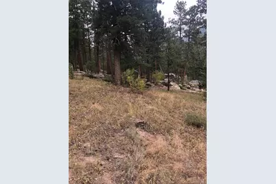 Cedar Drive, Lyons, CO 80540 - Photo 11