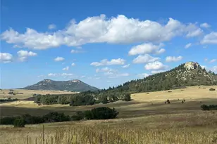 100 W Noe Rd, Larkspur, CO 80118 - Photo 3