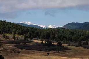 100 W Noe Rd, Larkspur, CO 80118 - Photo 7