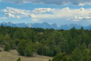 5539 Cody Park Rd, Cotopaxi, CO 81223 - Photo 1
