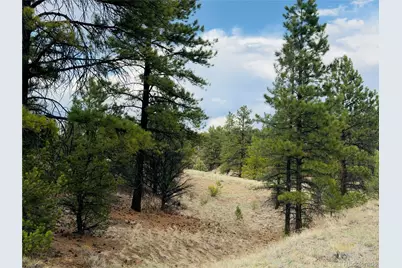 5539 Cody Park Road, Cotopaxi, CO 81223 - Photo 15