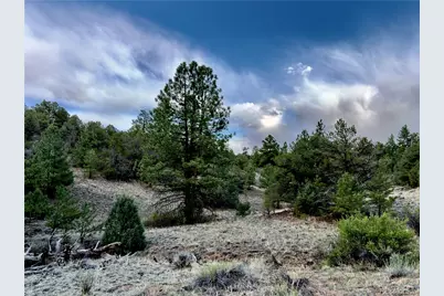 5539 Cody Park Road, Cotopaxi, CO 81223 - Photo 19