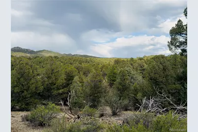 5539 Cody Park Road, Cotopaxi, CO 81223 - Photo 9