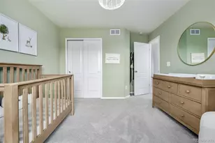 9723 Bennett Peak St, Littleton, CO 80125 - Photo 35