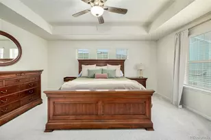 9723 Bennett Peak St, Littleton, CO 80125 - Photo 39