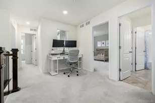 9723 Bennett Peak St, Littleton, CO 80125 - Photo 29