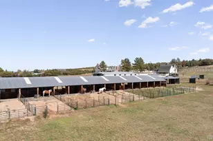 2073 S Perry Park Rd, Sedalia, CO 80135 - Photo 37