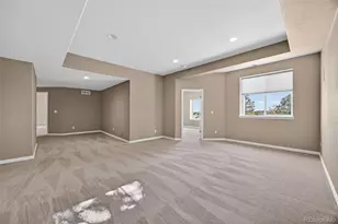 291 N Pines Trail, Parker, CO 80138 - Photo 43