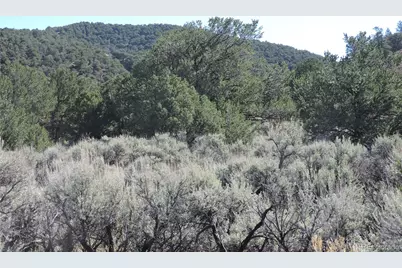 Lot 7563 Dolder Road, Fort Garland, CO 81133 - Photo 13