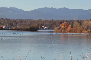 5343 W 16th Ave, Lakewood, CO 80214 - Photo 23