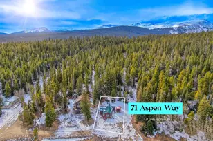 71 Aspen St, Alma, CO 80420 - Photo 23