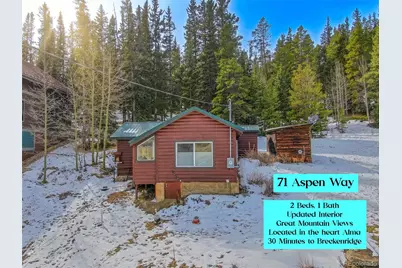 71 Aspen Street, Alma, CO 80420 - Photo 1