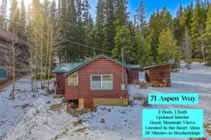 71 Aspen St, Alma, CO 80420 - Photo 1