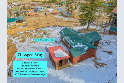 71 Aspen Street, Alma, CO 80420 - Photo 19