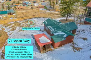 71 Aspen St, Alma, CO 80420 - Photo 19