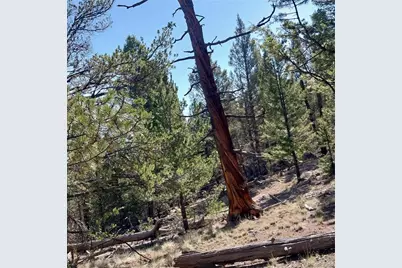 496 Houma Way, Como, CO 80432 - Photo 13