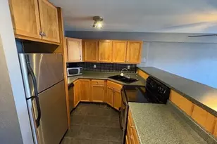 1121 Albion St, Denver, CO 80220 - Photo 3