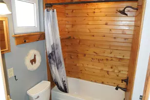 606 E 11th St, Leadville, CO 80461 - Photo 11