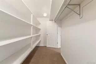 8825 Fairview Oaks Pl, Lone Tree, CO 80124 - Photo 33