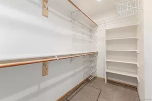 8825 Fairview Oaks Pl, Lone Tree, CO 80124 - Photo 23