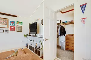 119 Bristlecone Ln, Fairplay, CO 80440 - Photo 27