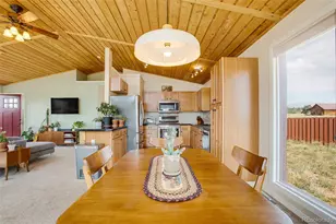 119 Bristlecone Ln, Fairplay, CO 80440 - Photo 37