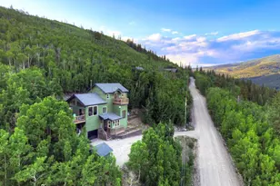 1095 Quartzville Rd, Alma, CO 80440 - Photo 43