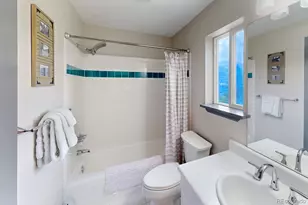 1095 Quartzville Rd, Alma, CO 80440 - Photo 29