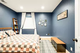 683 Tiger Lily Way, Highlands Ranch, CO 80126 - Photo 37