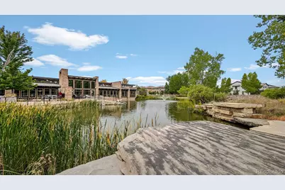 683 Tiger Lily Way, Highlands Ranch, CO 80126 - Photo 49