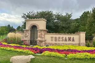 9212 Viaggio Way, Highlands Ranch, CO 80126 - Photo 37