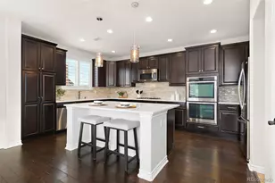 9212 Viaggio Way, Highlands Ranch, CO 80126 - Photo 11