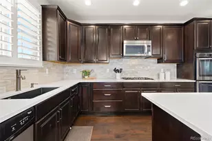 9212 Viaggio Way, Highlands Ranch, CO 80126 - Photo 15