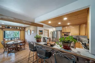 8774 Spring Dr, Conifer, CO 80433 - Photo 9