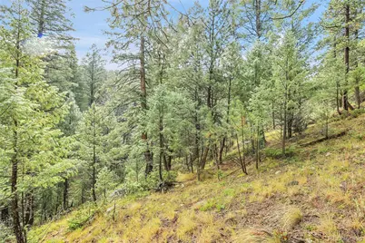 Tbd Mountain Park Road, Evergreen, CO 80439 - Photo 11