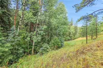 Tbd Mountain Park Road, Evergreen, CO 80439 - Photo 41