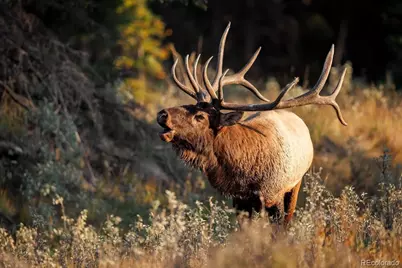 Tbd Mountain Park Road, Evergreen, CO 80439 - Photo 21