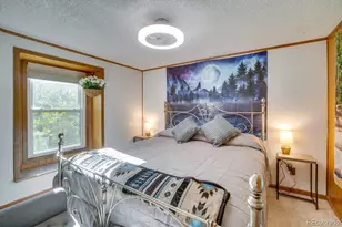 354 Doe Cir, Bailey, CO 80421 - Photo 17