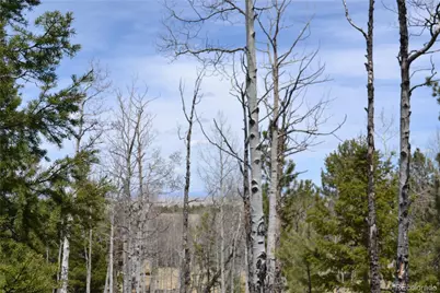 10340 Ranch Road, Hartsel, CO 80449 - Photo 13