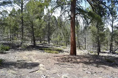 10340 Ranch Road, Hartsel, CO 80449 - Photo 11