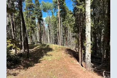 Lot 2380 Benton Road, Fort Garland, CO 81133 - Photo 11