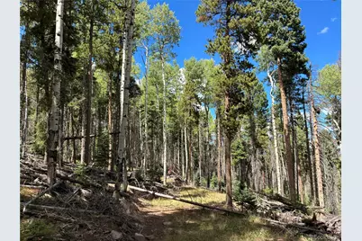 Lot 2380 Benton Road, Fort Garland, CO 81133 - Photo 13