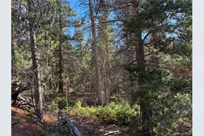 Lot 2380 Benton Road, Fort Garland, CO 81133 - Photo 9
