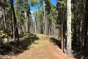 Lot 2380 Benton Rd, Fort Garland, CO 81133 - Photo 1