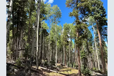 Lot 2380 Benton Road, Fort Garland, CO 81133 - Photo 3
