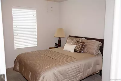 3497 Starry Night Loop, Castle Rock, CO 80109 - Photo 21