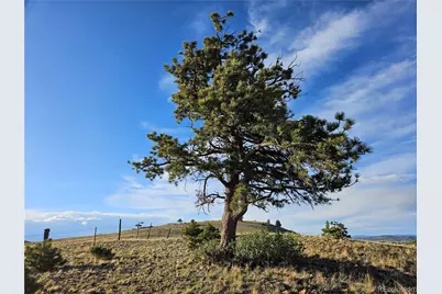 Pcs#24142 Antero Road, Hartsel, CO 80449 - Photo 3