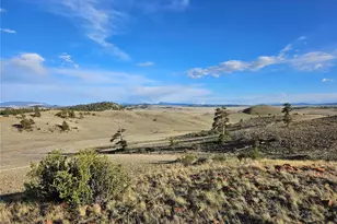 Pcs#24142 Antero Rd, Hartsel, CO 80449 - Photo 1