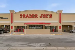 6034 S Steele St, Centennial, CO 80121 - Photo 39